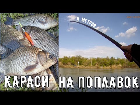 Видео: Жирные караси на удочку с поплавком/карась весной