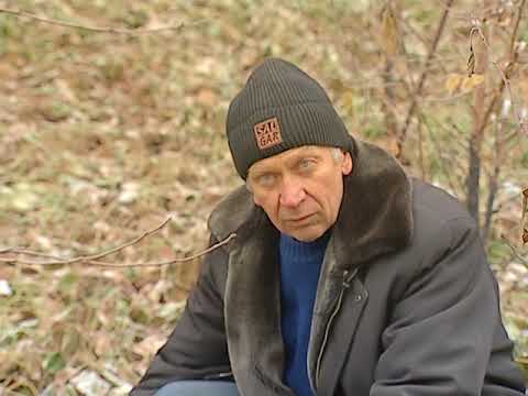 Видео: Афлотуния Мыши Лотенков