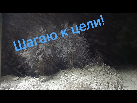 Видео: 7 ноября 2025 г.