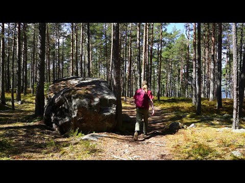 Видео: Одиночный хайкинг по Большой Ладожской тропе. Залив Лехмалахти