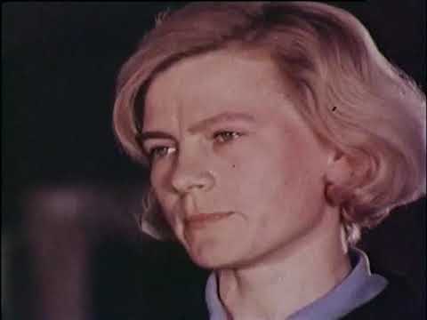Видео: Фитиль №63 (1967 год)