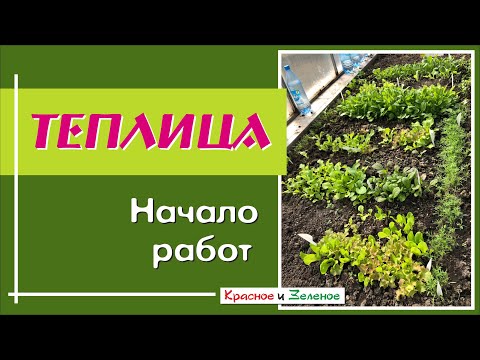 Видео: Первые работы в теплице. Всё успеть и вырастить максимум урожая