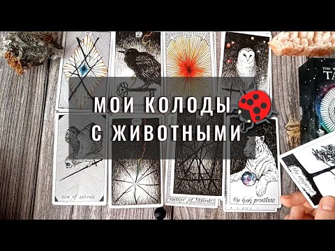 Видео: Колоды таро с животными🦢 Обзор моей коллекции таро и оракулов на тему животных