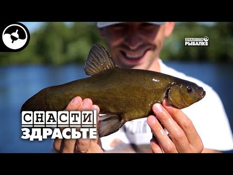 Видео: Тестируем ультралайтовые спиннинги | Снасти, здрасьте!