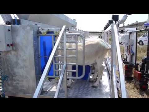 Видео: доильный зал на 12 коз - MELASTY®