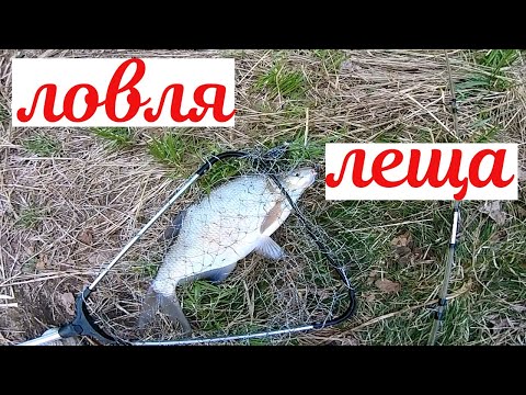 Видео: Рыбалка в мае 2019 на пенопласт и не только.Река белая