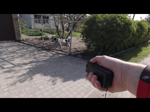 Видео: Ультразвуковой отпугиватель для собак. ZF-851.