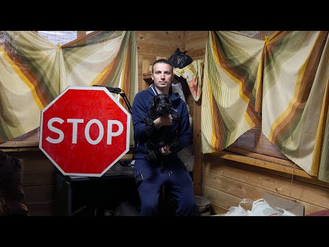 Видео: СНЁС детскую комнату, РАЗОРВАЛ диван и кресло