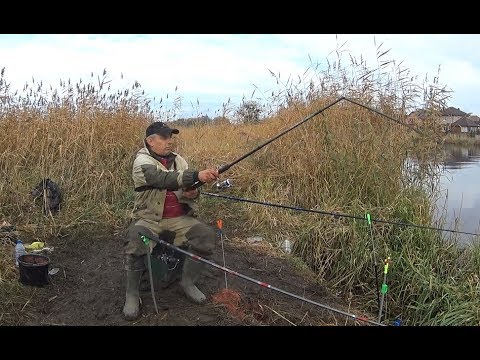 Видео: "ЗЛАЯ ПЛОТВА КРОШИТ УДОЧКИ!!!" У кого то))