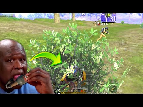 Видео: Троллинг начинающих врагов.EXE | BGMI