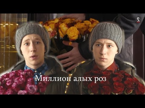Видео: Даня и Эля || Миллион алых роз