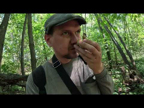 Видео: ОТец ищет грибы 10 07 25г