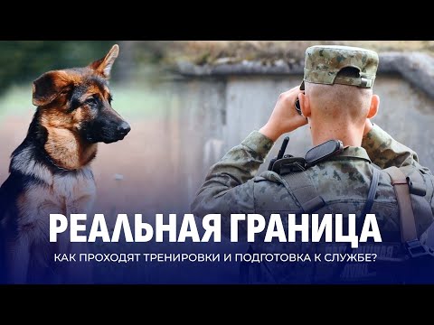Видео: Граница на замке | От собак до дронов | Секреты белорусской пограничной службы. РЕАЛЬНАЯ ГРАНИЦА