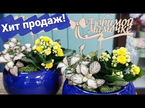 Видео: Посадочки ко Дню матери 😍