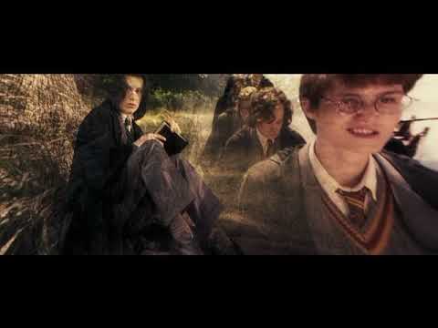 Видео: Защитники Хогвартса