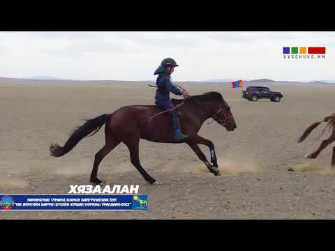 Видео: Хязаалан уралдаан / Увс аймгийн баруун бүсийн хурд 2023 / Наранбулаг сум