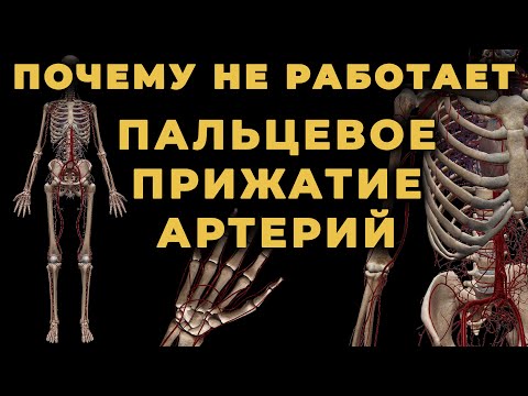 Видео: Почему пальцевое прижатие артерий не всегда останавливает артериальное кровотечение #ПроСМП