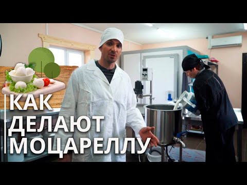 Видео: Как сделать моцареллу? Полный рецепт от молока до идеального домашнего сыра!