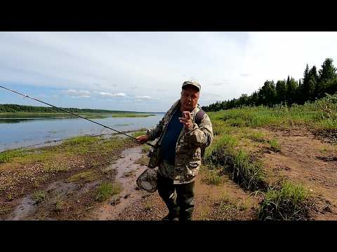 Видео: Со спиннингом на новые места / Шикарный улов за пару часов на реке / Окунь на отводной поводок