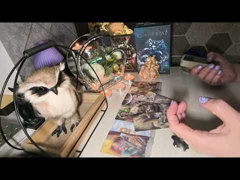 Видео: 🔥🤦Он бесится🔥. К чему Вы должны быть готовы🔥🤦