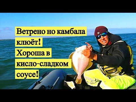 Видео: Ветрено, но камбала клюёт. Хороша в кисло-сладком соусе!