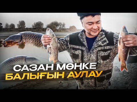 Видео: САЗАН, МӨҢКЕ БАЛЫҒЫН АУЛАУ. ҚАЛАҒА ЖАҚЫН ЖЕРДЕН БАЛЫҚ АУЛАДЫҚ. ҚЫЗЫЛОРДА