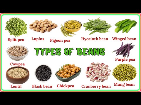 Видео: Виды фасоли и бобовых: лексика на английском языке | Распространённые названия фасоли для изучающ...