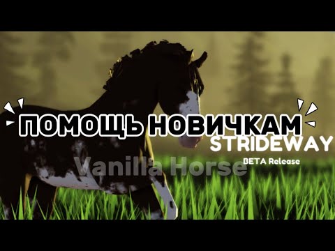 Видео: ||Помощь новичкам||STD||
