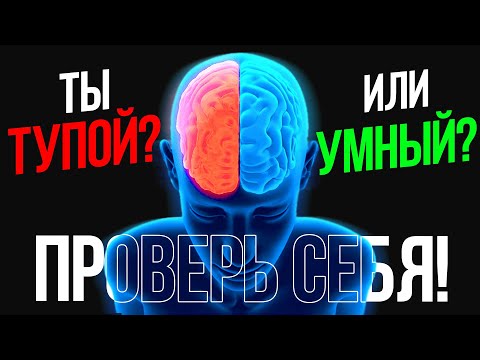 Видео: ТЕСТ НА ГРАМОТНОСТЬ — 97% людей совершают ошибки! Проверь себя