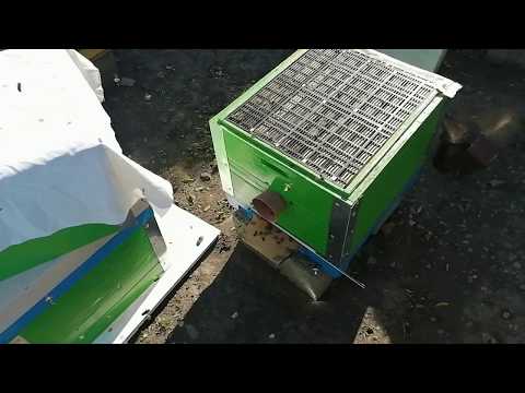 Видео: Как сработал противороевой приём от Демари.