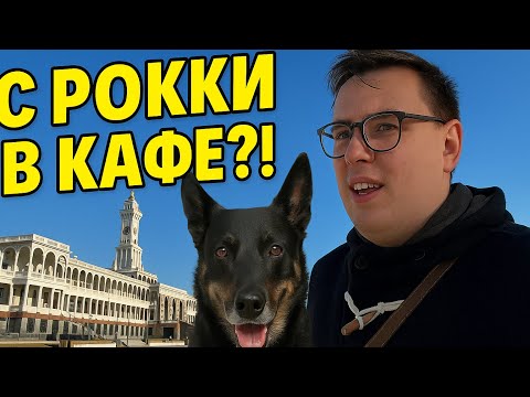 Видео: С собакой в кафе? 🤔 Что купил в «Ханой-Москва» и прогулка по Москве!