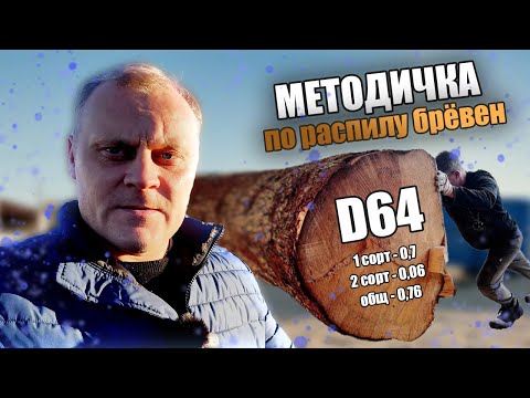Видео: Методичка D64. Пилорама Гатчина