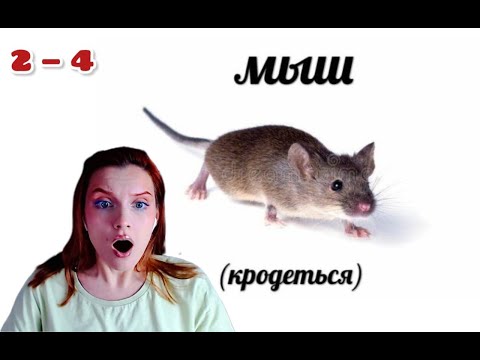 Видео: КЛИНОК, РАССЕКАЮЩИЙ ДЕМОНОВ 2 сезон 4 серия / Реакция на аниме!