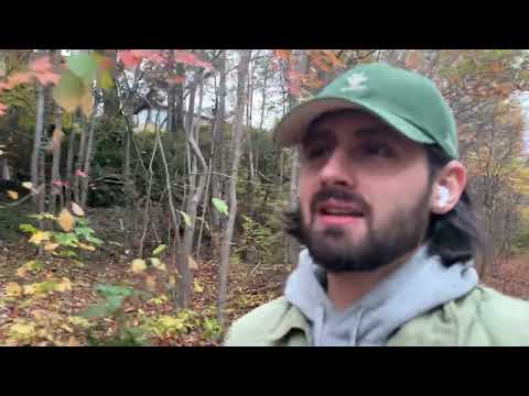 Видео: Мои мысли и планы на жизнь