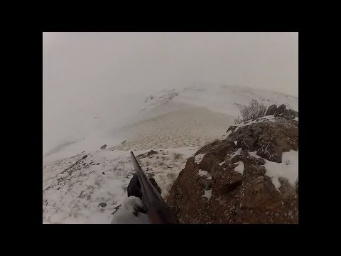 Видео: Охота на волка снегоходом, засада. Қасқыр аңшылық ит шанамен. Каркаралы. Жүсіп. Где в Караганд