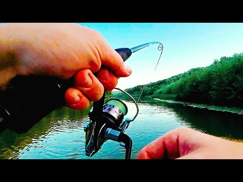 Видео: Универсальная приманка на окуня и щуку! 3 часа   десяток поклевок!