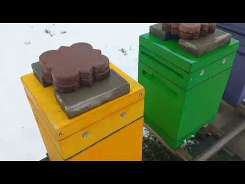 Видео: Двухсемейная Зимовка в Миниплюсах от Пеноулик!!!