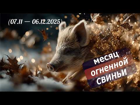 Видео: Ноябрь — месяц свиньи (2025): прогноз по Ба Цзы, Ци Мень и Феншуй