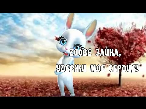 Видео: Zoobe Зайка, удержи мое сердце!