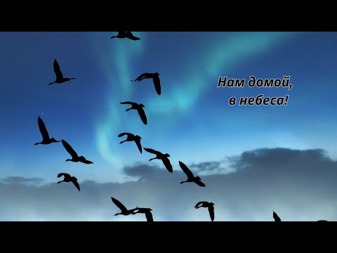 Видео: ⛅️⛅️⛅️Нам домой,  в небеса!⛅️⛅️⛅️