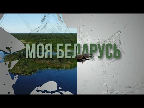 Видео: Моя Беларусь #15 |  Парк животных