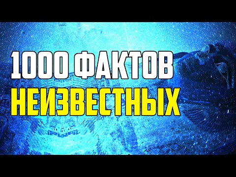 Видео: 1000 УДИВИТЕЛЬНЫХ ФАКТОВ, КОТОРЫЕ НЕ ВСЕМ ИЗВЕСТНЫ