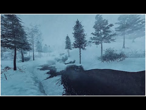 Видео: Лучшие звуки ледяной метели для сна┇Громкий снег и атмосфера морозного ветра