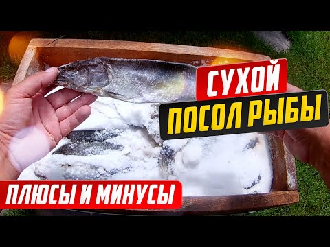 Видео: Сухой посол рыбы, Вопросы и ответы, Плюсы и минусы