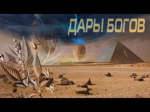 Видео: Андрей Жуков: Дары Богов