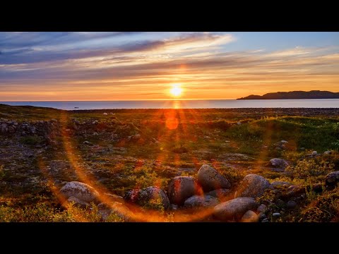 Видео: Северное лето в Териберке.