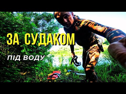 Видео: Завітав до судака в гості. Підводне полювання біля Києва.