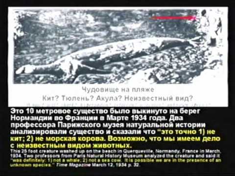 Видео: Кент Ховинд - Семинар №3 - Динозавры и Библия