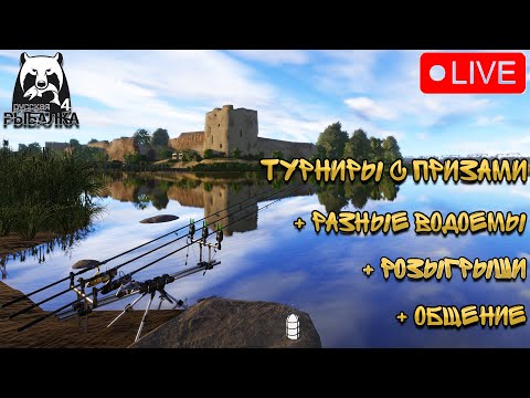 Видео: 🔴ПРЯМОЙ ЭФИР В РУССКАЯ РЫБАЛКА 4/В ПОИСКАХ РЕДКИХ ТРОФЕЕВ!🎁