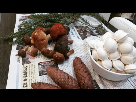 Видео: Пельмени в горшочках с лесными грибами